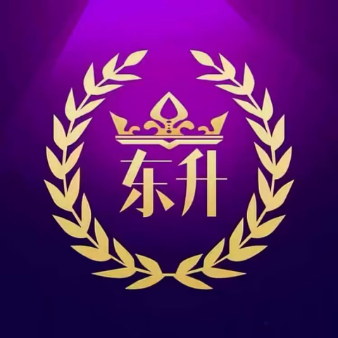 东升国际